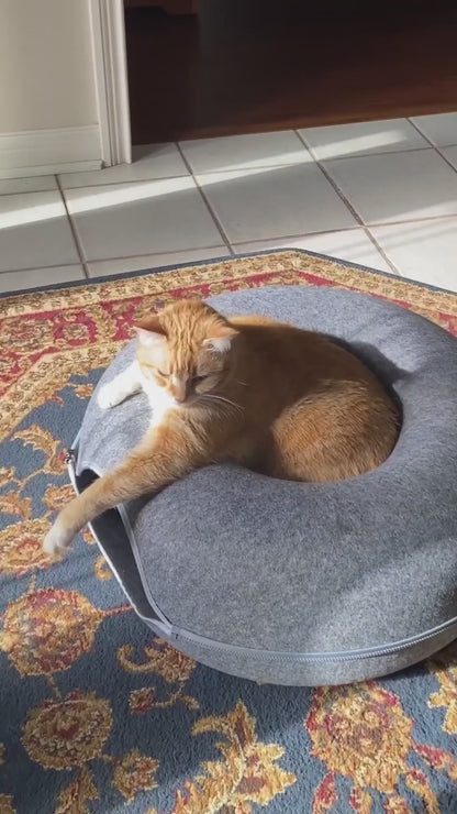 Cama Para Gato Tunel Dona Rascador Juguete Desarmable